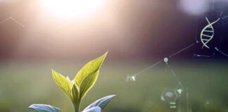 Consenso histórico en la UE sobre las nuevas técnicas genómicas para la agricultura