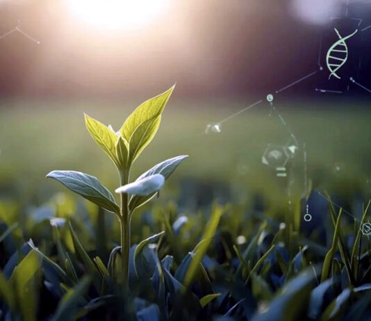 Consenso histórico en la UE sobre las nuevas técnicas genómicas para la agricultura