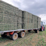 Viernes 19 de diciembre, último día para formalizar importantes seguros agrarios en esta campaña