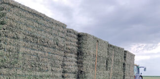 Viernes 19 de diciembre, último día para formalizar importantes seguros agrarios en esta campaña