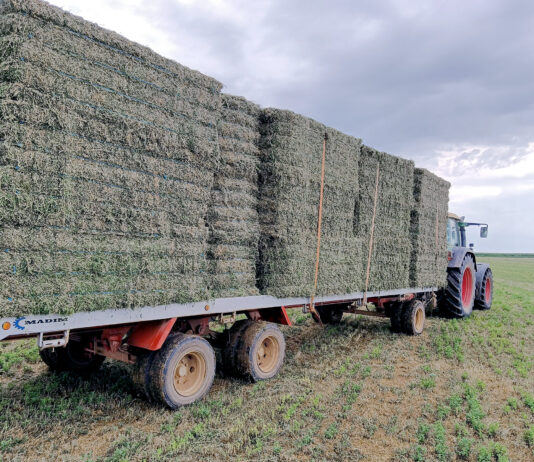 Viernes 19 de diciembre, último día para formalizar importantes seguros agrarios en esta campaña