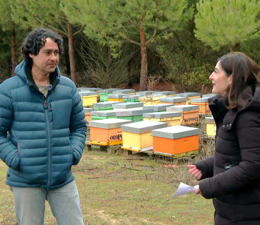 Campo Palentino | (4/DICIEMBRE/2025)