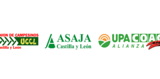 ASAJA, la Alianza UPA-COAG y UCCL convocan a los agricultores y ganaderos a manifestarse en todas las provincias de Castilla y León contra Mercosur a finales de enero