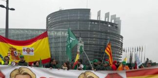 ASAJA pide a los europarlamentarios que apoyen la investigación judicial del acuerdo UE-Mercosur