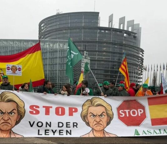 ASAJA pide a los europarlamentarios que apoyen la investigación judicial del acuerdo UE-Mercosur