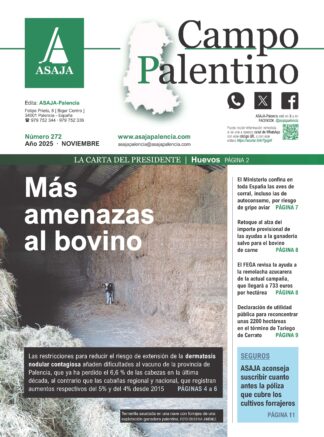 Campo Palentino | n.º 272 (Noviembre 2025)