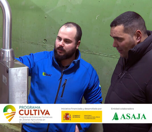 Campo Palentino | 15/ENERO/2026