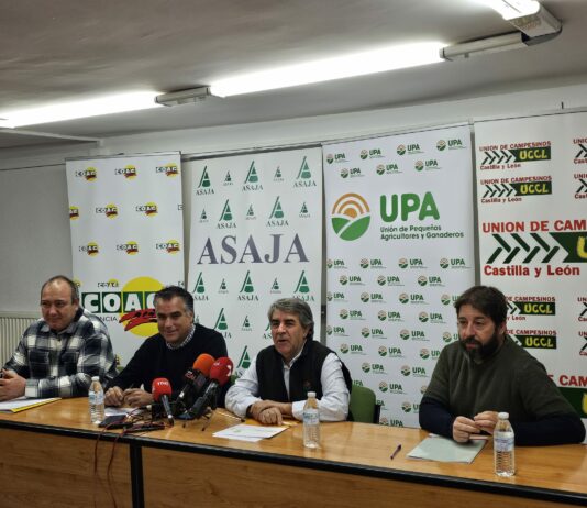 El campo palentino organizará el próximo 29 de enero una tractorada infantil