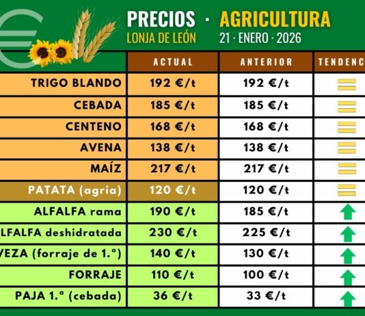 Estancamiento en los precios de los cereales en León