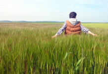 ASAJA gestionó en Palencia dos de cada tres ayudas a la incorporación y modernización agraria de 2025