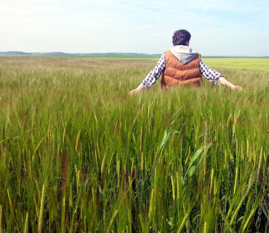 ASAJA gestionó en Palencia dos de cada tres ayudas a la incorporación y modernización agraria de 2025
