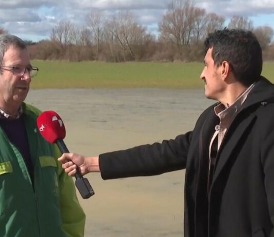 Campo Palentino | 19/FEBRERO/2026