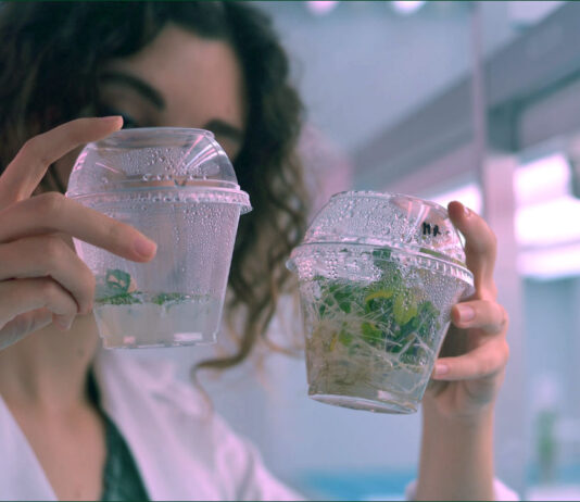 La Comisión Europea aprueba un acuerdo sobre Nuevas Técnicas Genómicas (NTG)