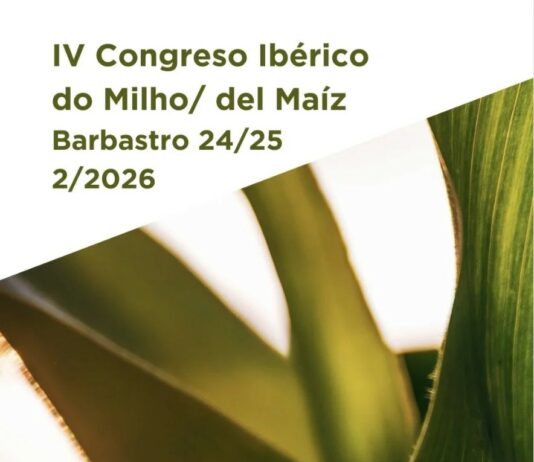El IV Congreso Ibérico del Maíz defenderá la rentabilidad del cultivo el 24 y 25 de febrero en Barbastro