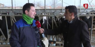 Campo Palentino | 05/FEBRERO/2026