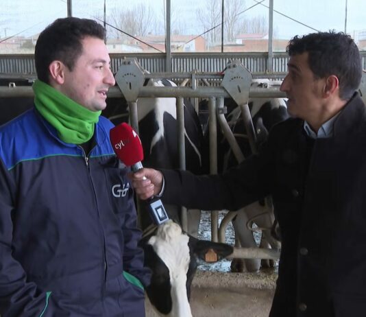 Campo Palentino | 05/FEBRERO/2026