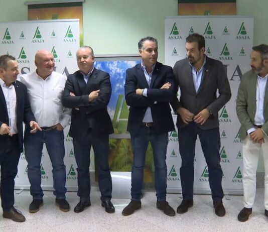 Campo Palentino | 26/2/2026