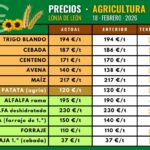 Suben la veza y la alfalfa en rama en la lonja de León