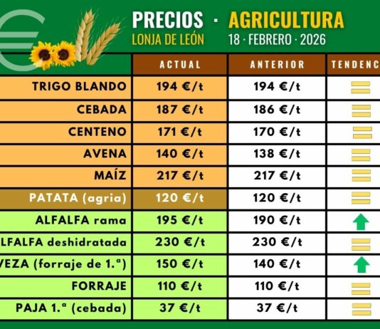 Suben la veza y la alfalfa en rama en la lonja de León