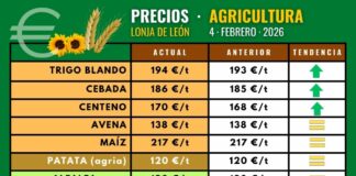 Subida de trigo, cebada y centeno en la lonja de León