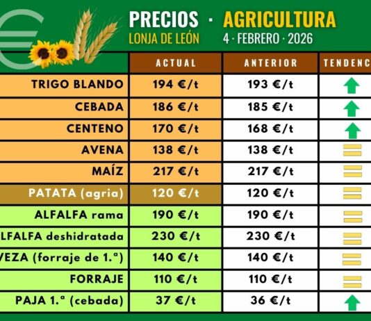 Subida de trigo, cebada y centeno en la lonja de León