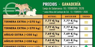 Suben los terneros y las terneras para vida en Salamanca