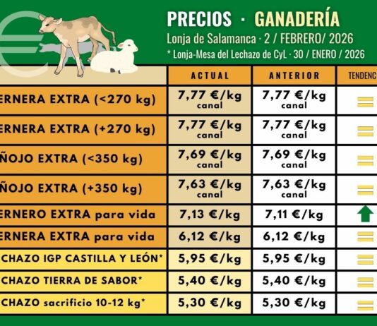 Sólo suben los terneros para vida en la Lonja de Salamanca