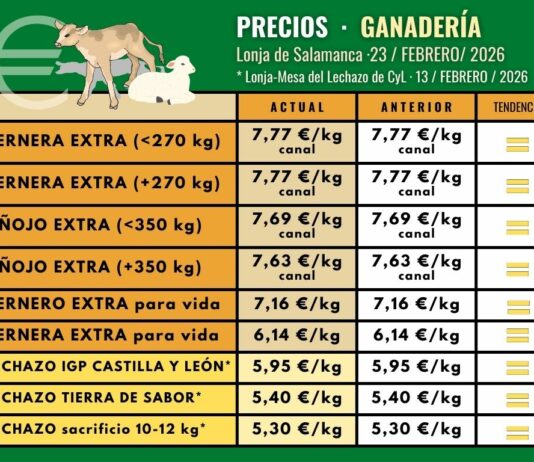 Inmovilismo en los precios en la lonja de Salamanca