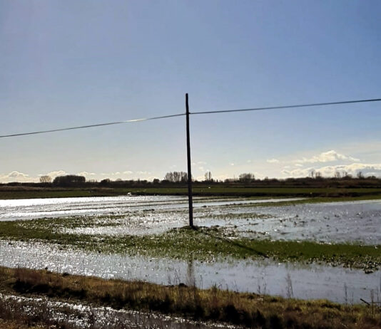 ASAJA reclama para el campo de Castilla y León las mismas ayudas del Gobierno a Extremadura y Andalucía