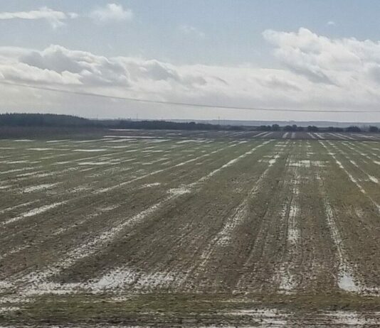 ASAJA pide una reunión urgente con la Consejería para aclarar qué requisitos de la PAC se flexibilizarán por los fenómenos meteorológicos adversos