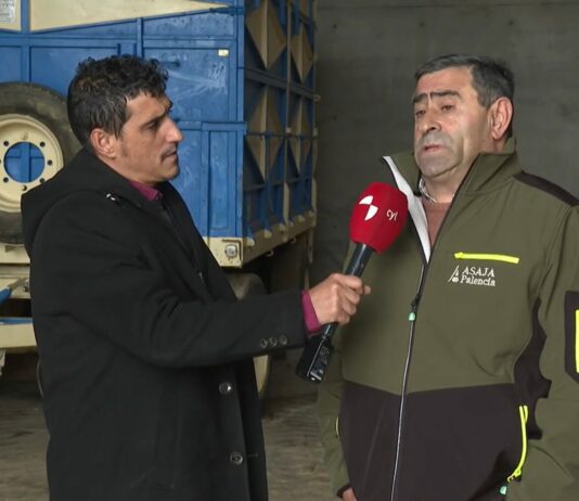 Campo Palentino | 12/FEBRERO/2026