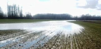 La Junta flexibiliza los requisitos en determinadas ayudas PAC por las lluvias extremas