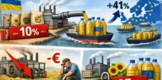 ASAJA denuncia que el arancel “ilegal” de Ucrania pone en riesgo la viabilidad del girasol en España