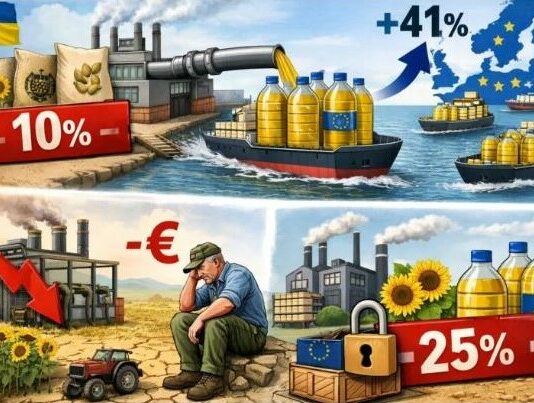 ASAJA denuncia que el arancel “ilegal” de Ucrania pone en riesgo la viabilidad del girasol en España