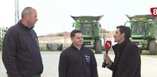 Campo Palentino | 5/3/2026