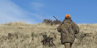 La Junta convoca los exámenes del cazador de 2026