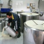 Asaja – ganadero vierte leche