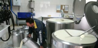 Las OPAs de Palencia esperan que la industria láctea negocie precios y mientras prorrogue los contratos