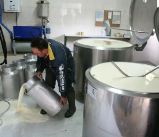 Las OPAs de Palencia esperan que la industria láctea negocie precios y mientras prorrogue los contratos