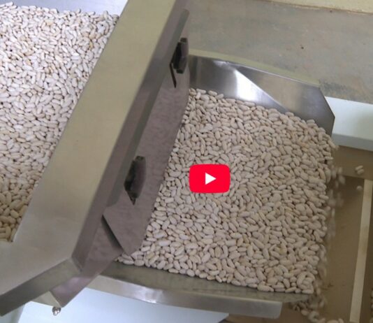 Campo Palentino | 12/3/2026