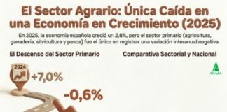 El PIB agrario bajó un 0,6% en 2025