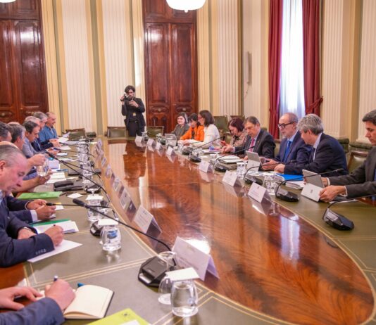 El Gobierno dice a las OPAs que el viernes anunciará medidas contra la crisis del sector agrario