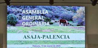 Los Estados miembros de la UE ya hablan de que la actual PAC se prorrogue hasta 2030