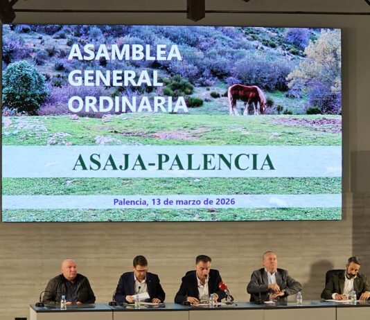 Los Estados miembros de la UE ya hablan de que la actual PAC se prorrogue hasta 2030