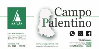 Campo Palentino | n.º 274 (Enero 2026)