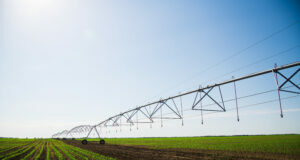 FENACORE prepara el congreso de regantes de abril pendiente del alza de precios y del plan del Gobierno