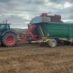 Sancando patatas en la Ojeda 2