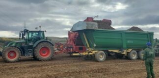 El Tribunal Supremo dicta que las compensaciones del IVA no cuentan como ingresos