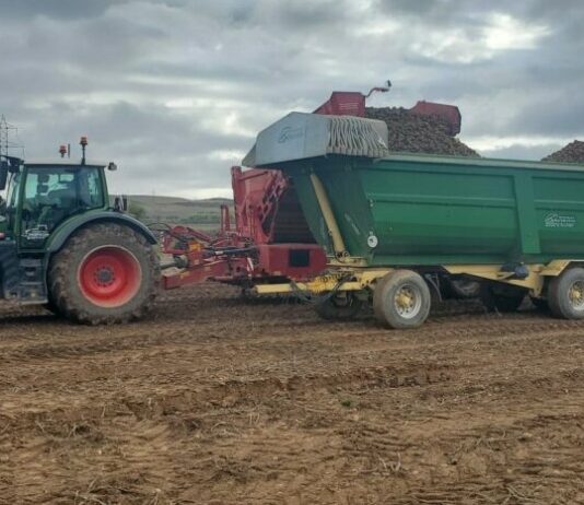 El Tribunal Supremo dicta que las compensaciones del IVA no cuentan como ingresos