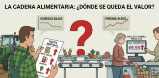 Si el agricultor no cobra más y el consumidor paga más, ¿quién hace negocio con la crisis?